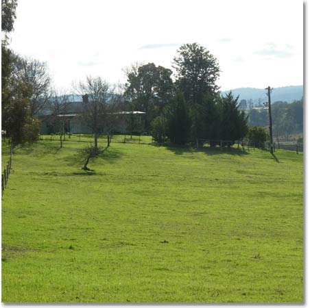 The Mossiface property